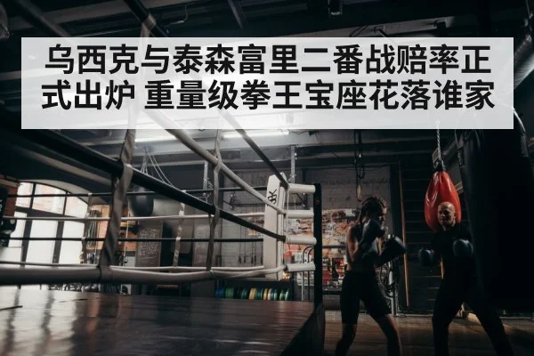 boxer training